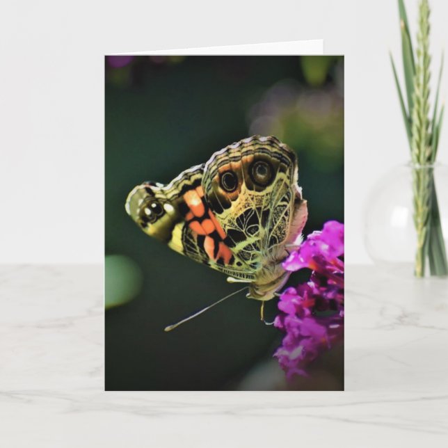 Butterfly, card (Front)
