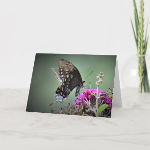 Butterfly, card