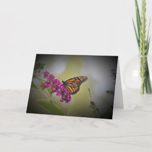Butterfly, card