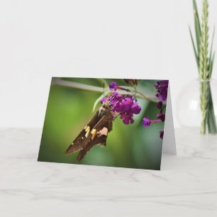 Butterfly, card