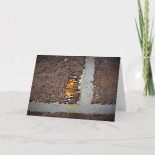 Butterfly, card