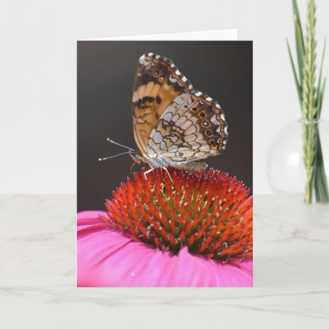 Butterfly, card (Front)
