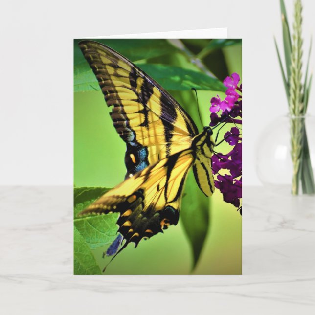 Butterfly, card (Front)