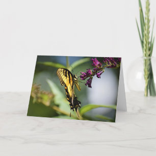 Butterfly, card
