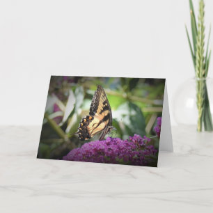 Butterfly, card