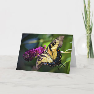 Butterfly, card