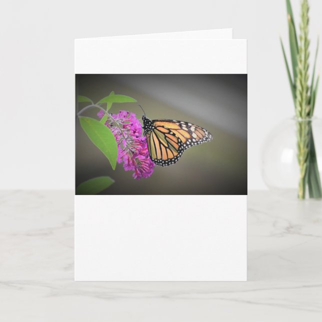 Butterfly, card (Front)