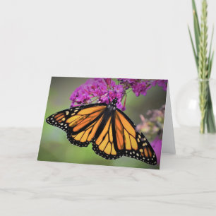 Butterfly, card