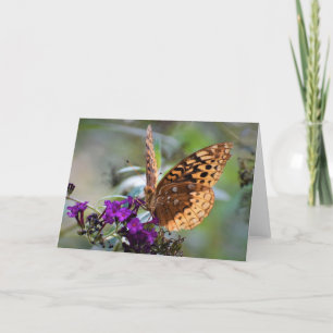 Butterfly, card