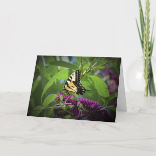 Butterfly, card