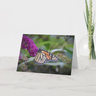 Butterfly, card