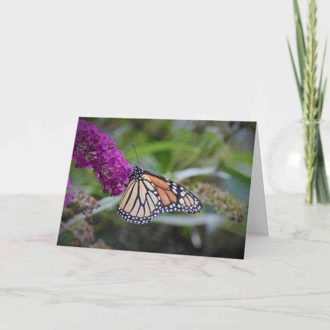 Butterfly, card (Front)