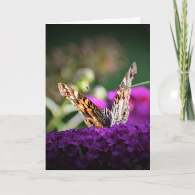 Butterfly, card (Front)