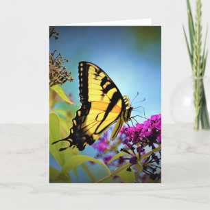 Butterfly, card