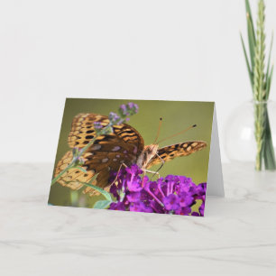 Butterfly, card