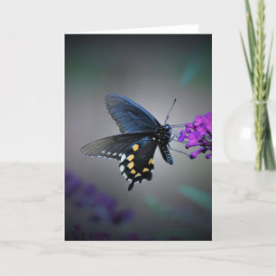 Butterfly, card