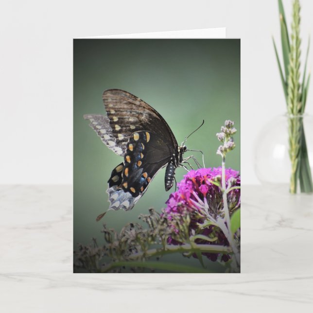 Butterfly, card (Front)