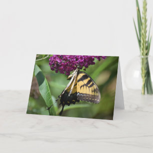 Butterfly, card