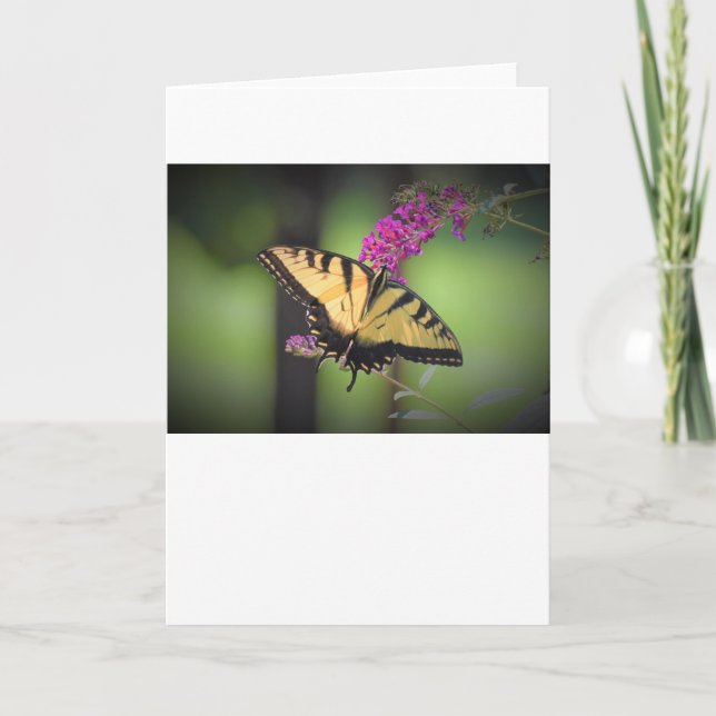 Butterfly, card (Front)