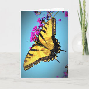 Butterfly, card