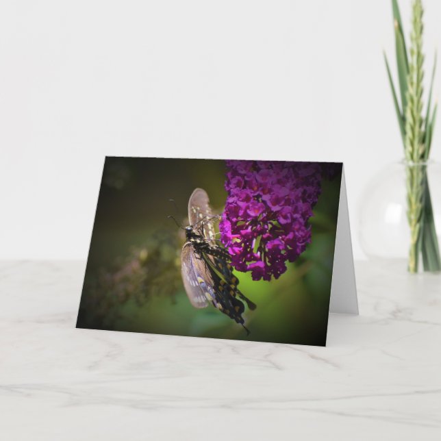 Butterfly, card (Front)