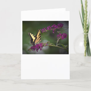 Butterfly, card