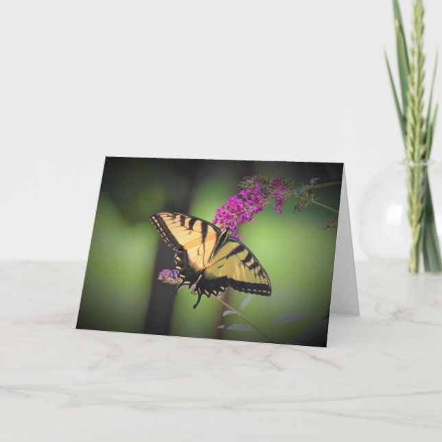 Butterfly, card (Front)