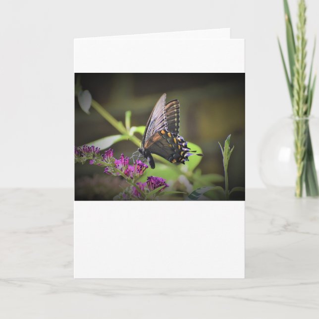 Butterfly, card (Front)