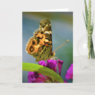 Butterfly, card
