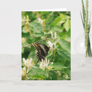 Butterfly Card