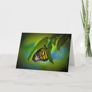 Butterfly, card