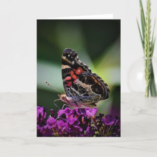 Butterfly, card