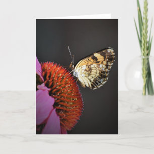 Butterfly, card