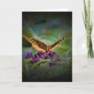 Butterfly, card