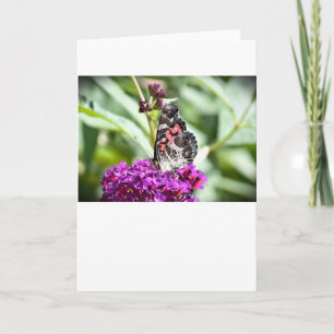 Butterfly, card