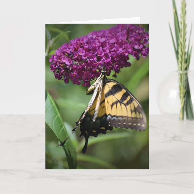 Butterfly, card (Front)