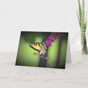 Butterfly, card