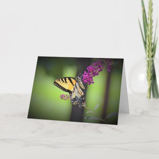 Butterfly, card (Front)