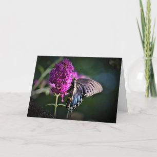 Butterfly, card
