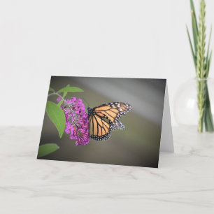Butterfly, card
