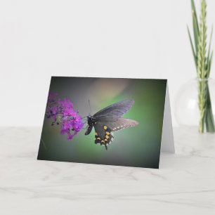 Butterfly, card