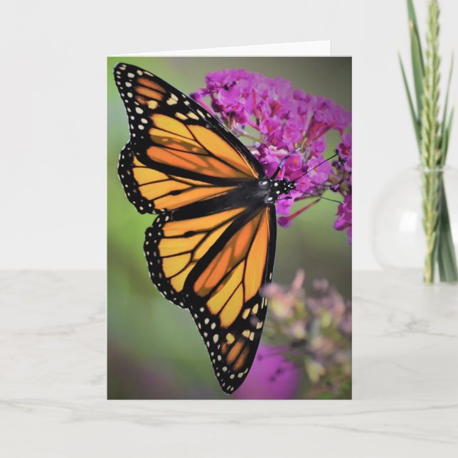 Butterfly, card (Front)