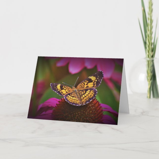 Butterfly, card (Front)