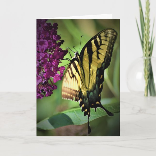 Butterfly, card (Front)