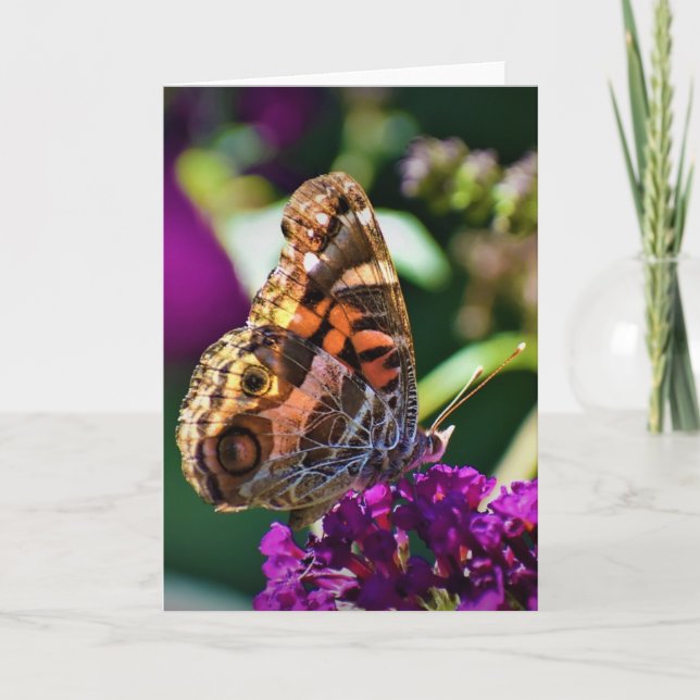 Butterfly, card (Front)