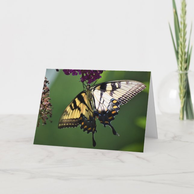 Butterfly, card (Front)