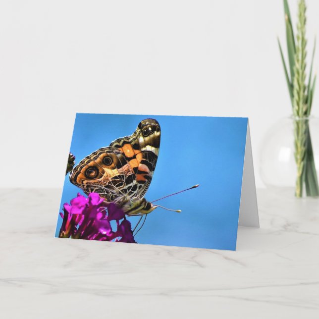 Butterfly, card (Front)