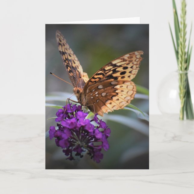 Butterfly, card (Front)