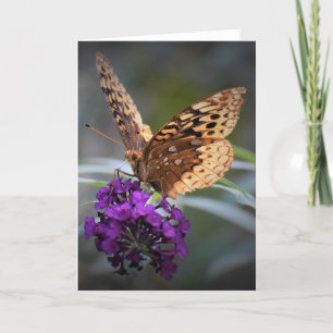 Butterfly, card