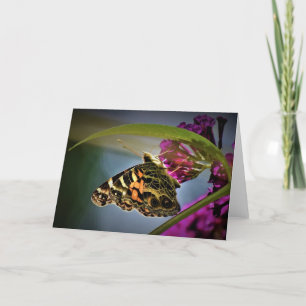 Butterfly, card